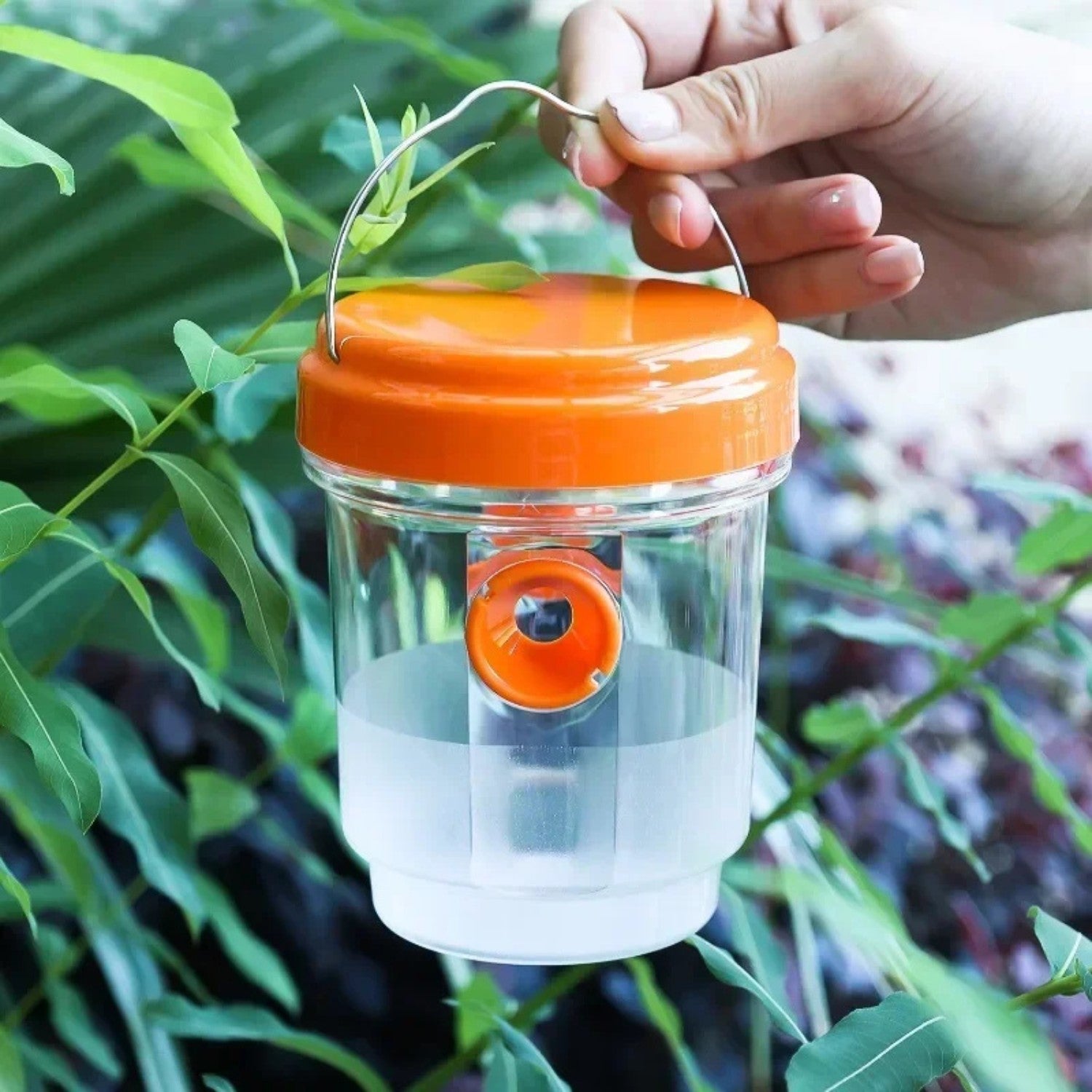 Reusable Hanging Wasp Trap