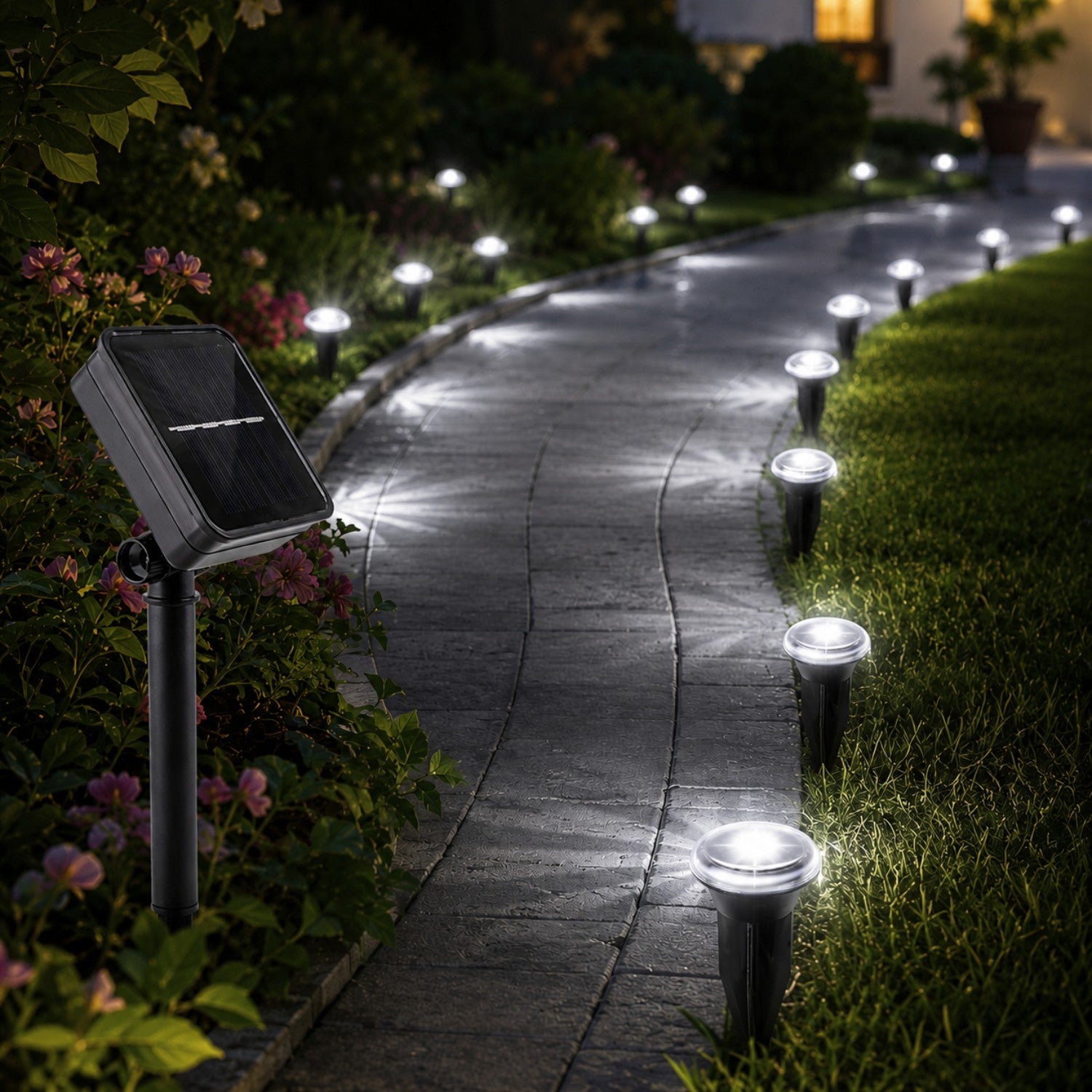 Solar LED Pathway Garden Lights