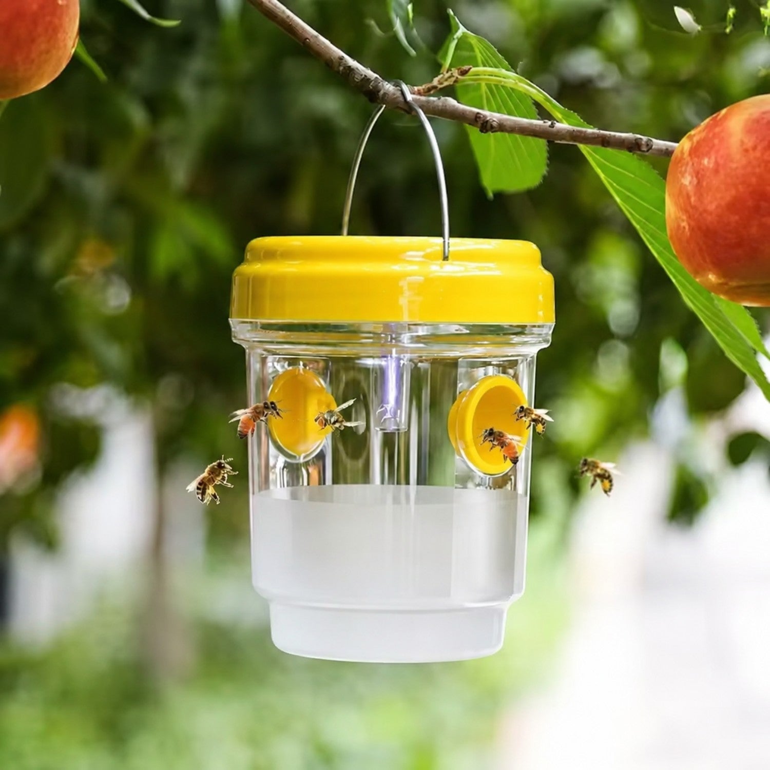 Reusable Hanging Wasp Trap