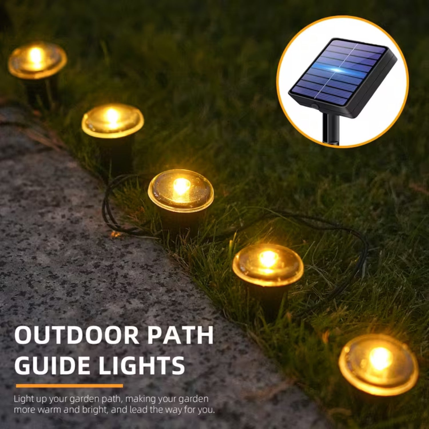 Solar LED Pathway Garden Lights