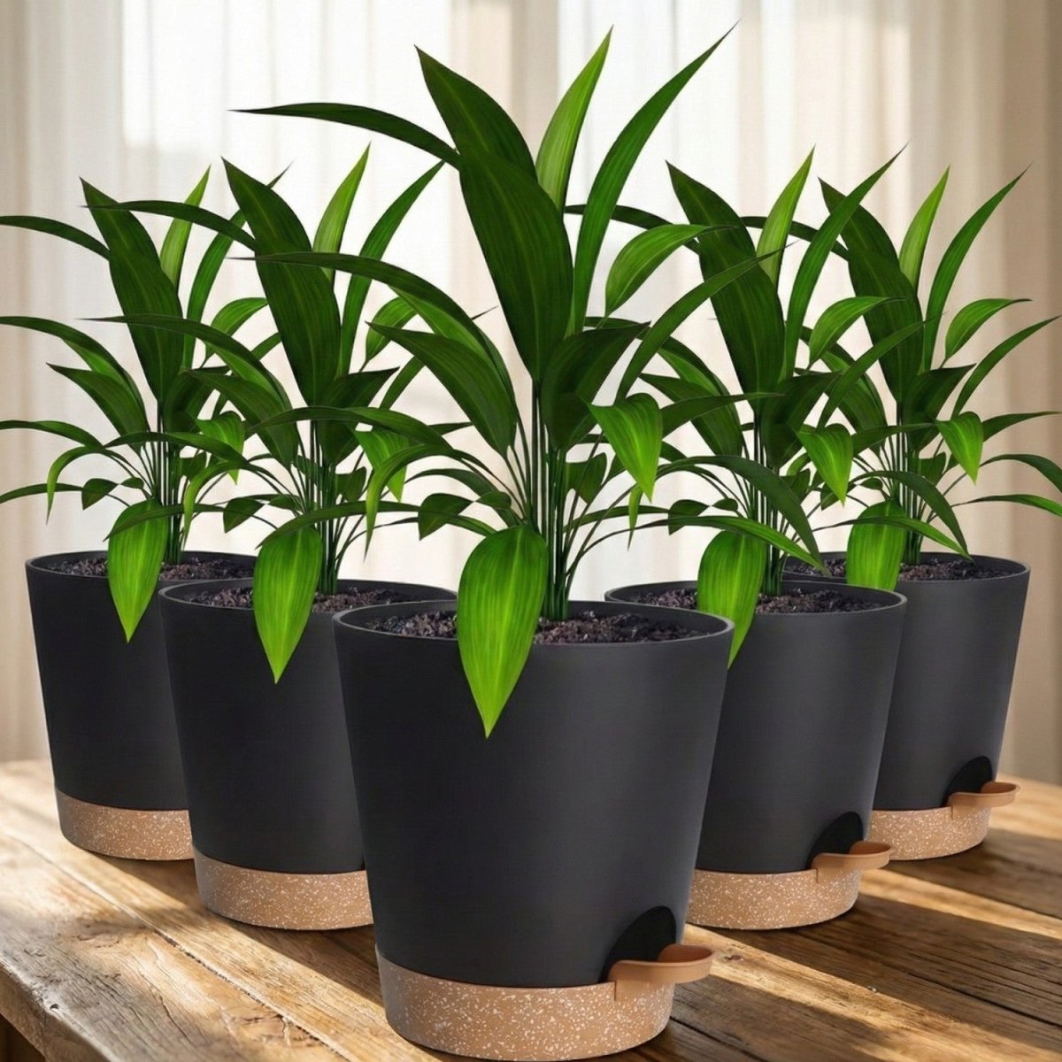 5 - Pack Self - Watering Flower Pots with Drainage - Flowerpot - Wild Eye Vision