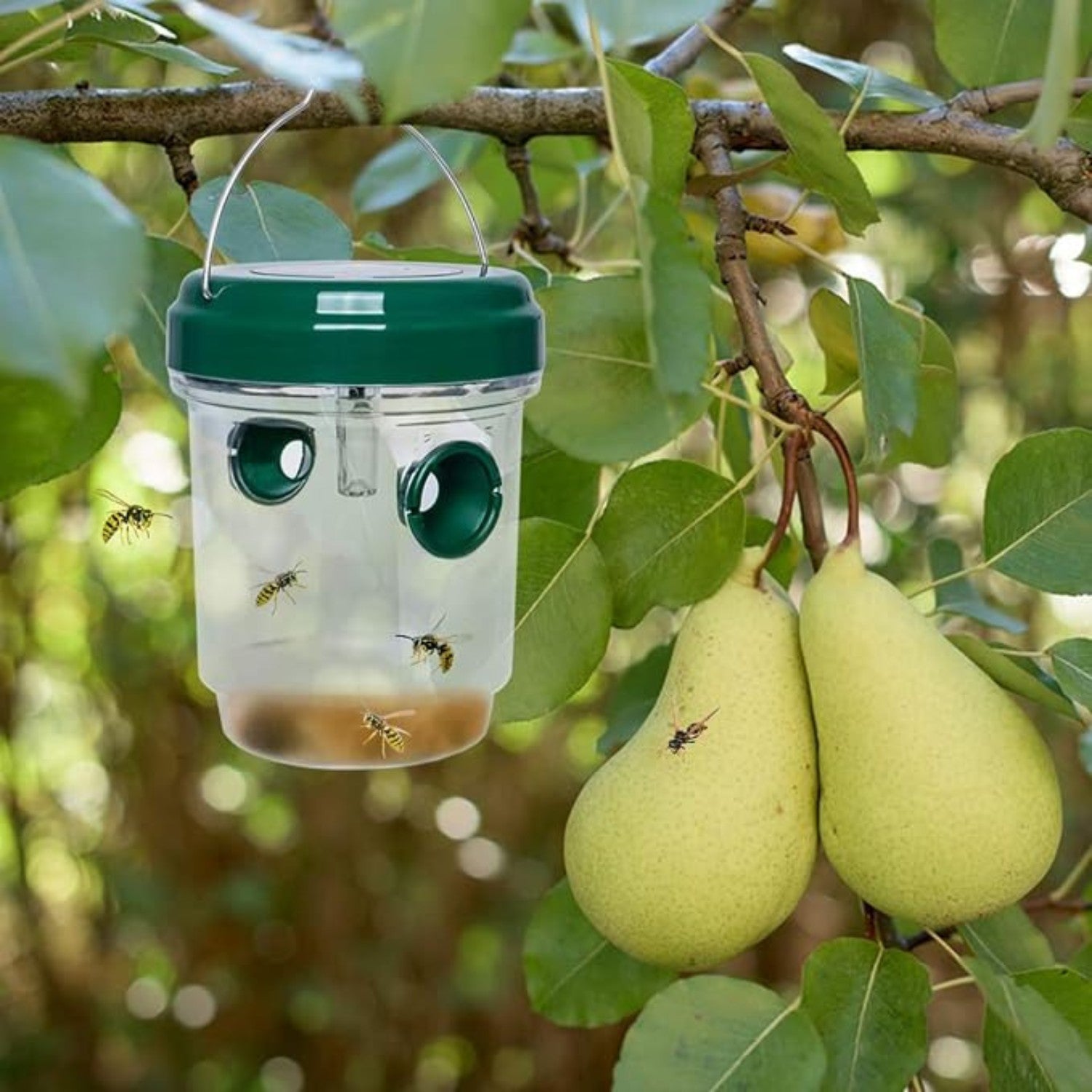 Reusable Hanging Wasp Trap