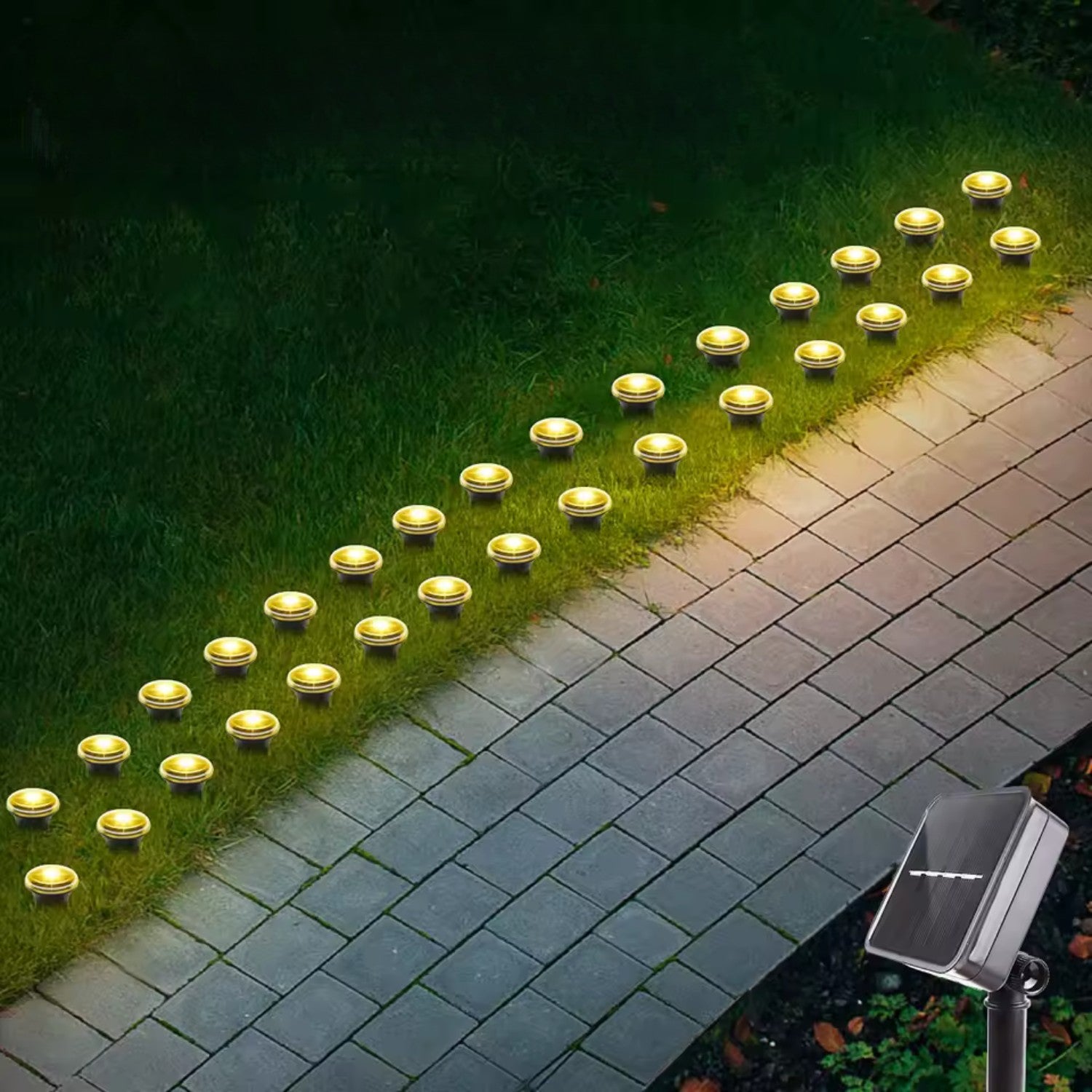 Solar LED Pathway Garden Lights