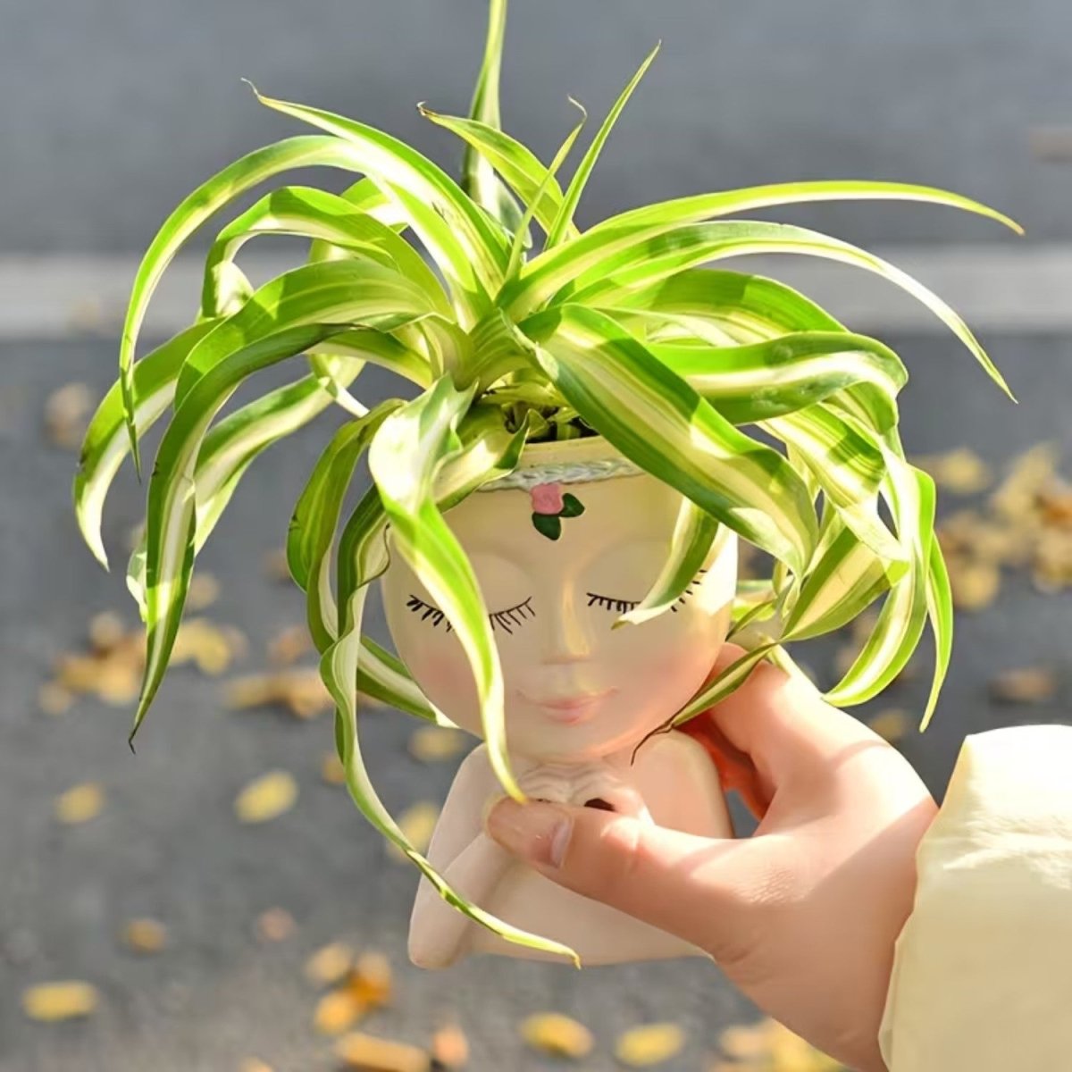 Creative Resin Face Vase for Plants - Flowerpot - Wild Eye Vision