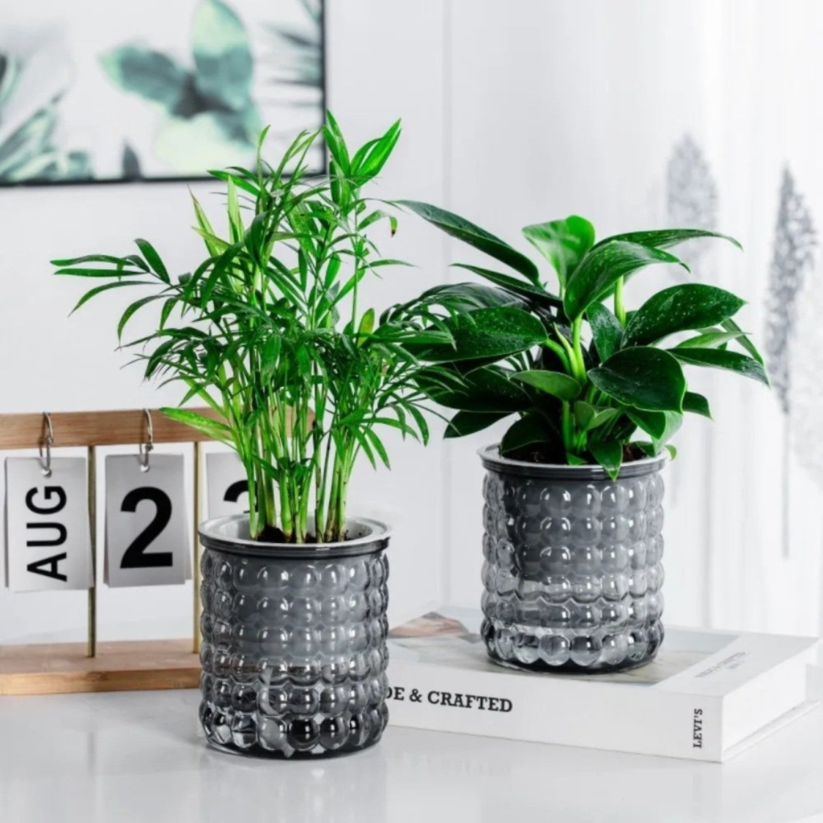 Eco - Friendly Self - Watering Hydroponic Flowerpot - Flowerpot - Wild Eye Vision