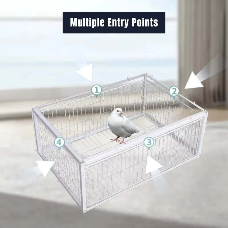 FeatherGuard Bird Cage - Bird Cage - Wild Eye Vision