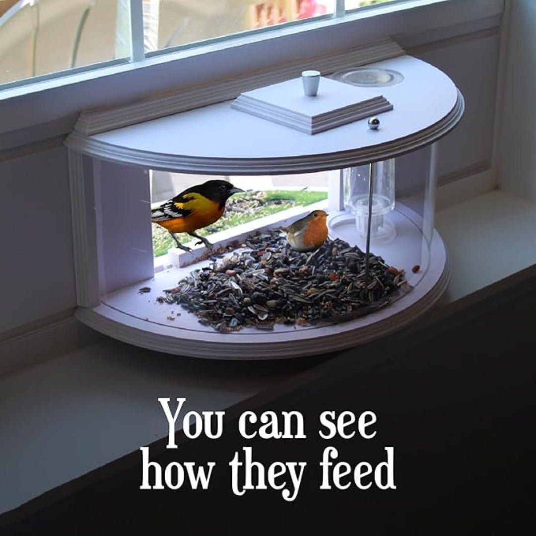 FeatherView – 180° Clear Window Bird Feeder - Bird Feeder - Wild Eye Vision