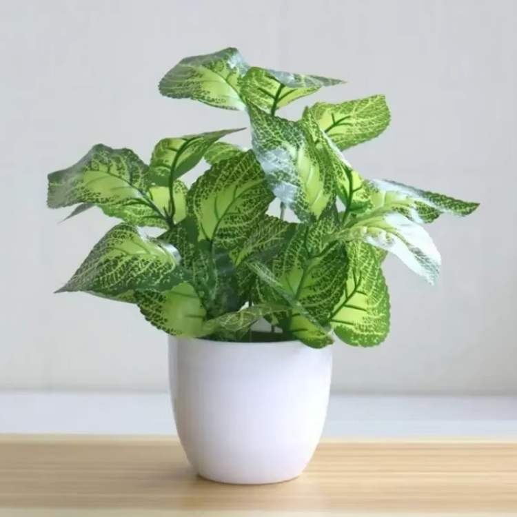 ForeverFresh Decorative Bonsai Pot - Artificial Plant - Wild Eye Vision