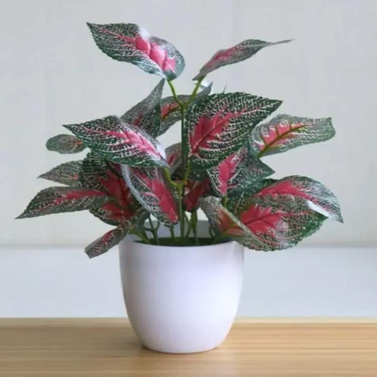 ForeverFresh Decorative Bonsai Pot - Artificial Plant - Wild Eye Vision