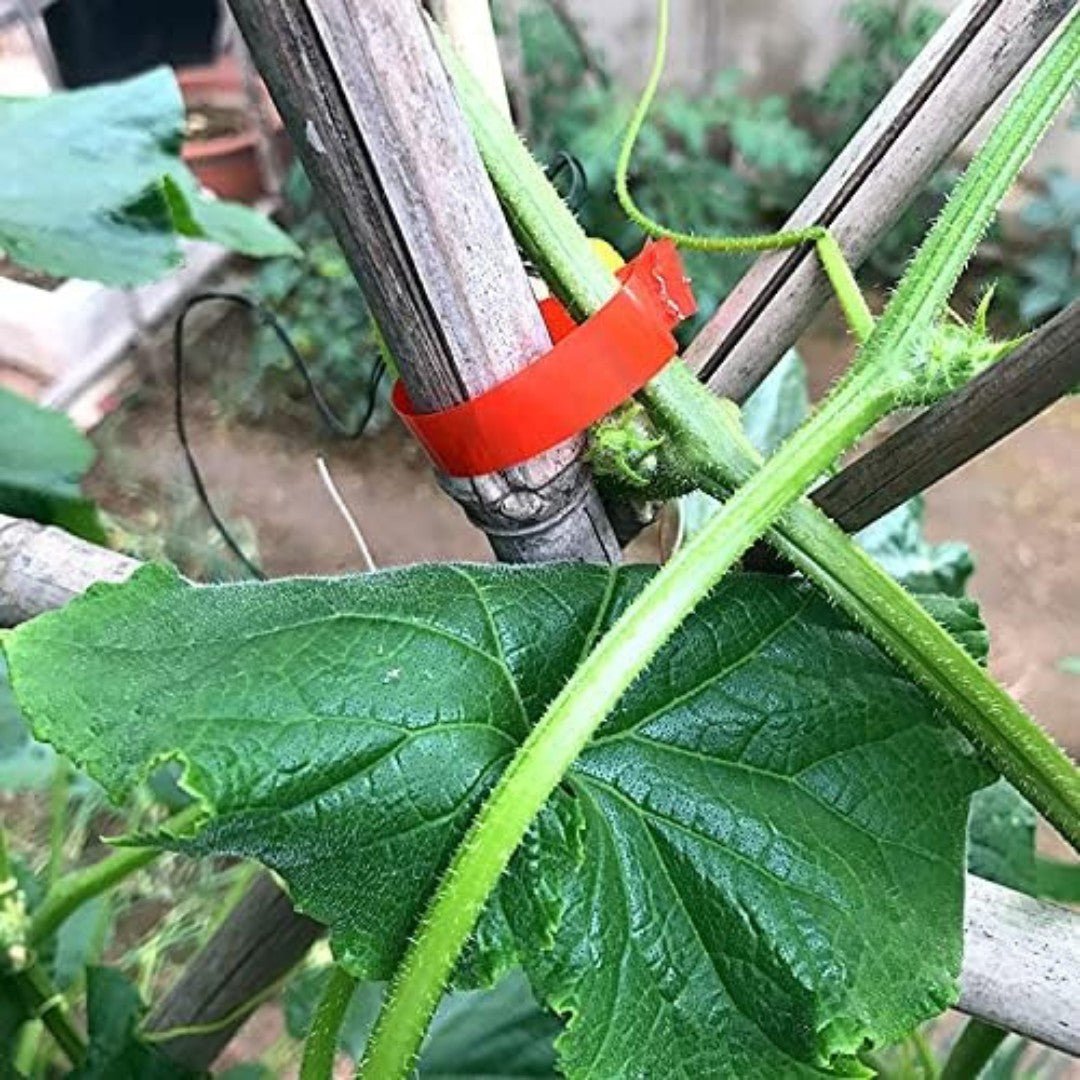 GrowGrip – Quick - Tie Garden Tool for Fast & Gentle Plant Support - Wild Eye Vision