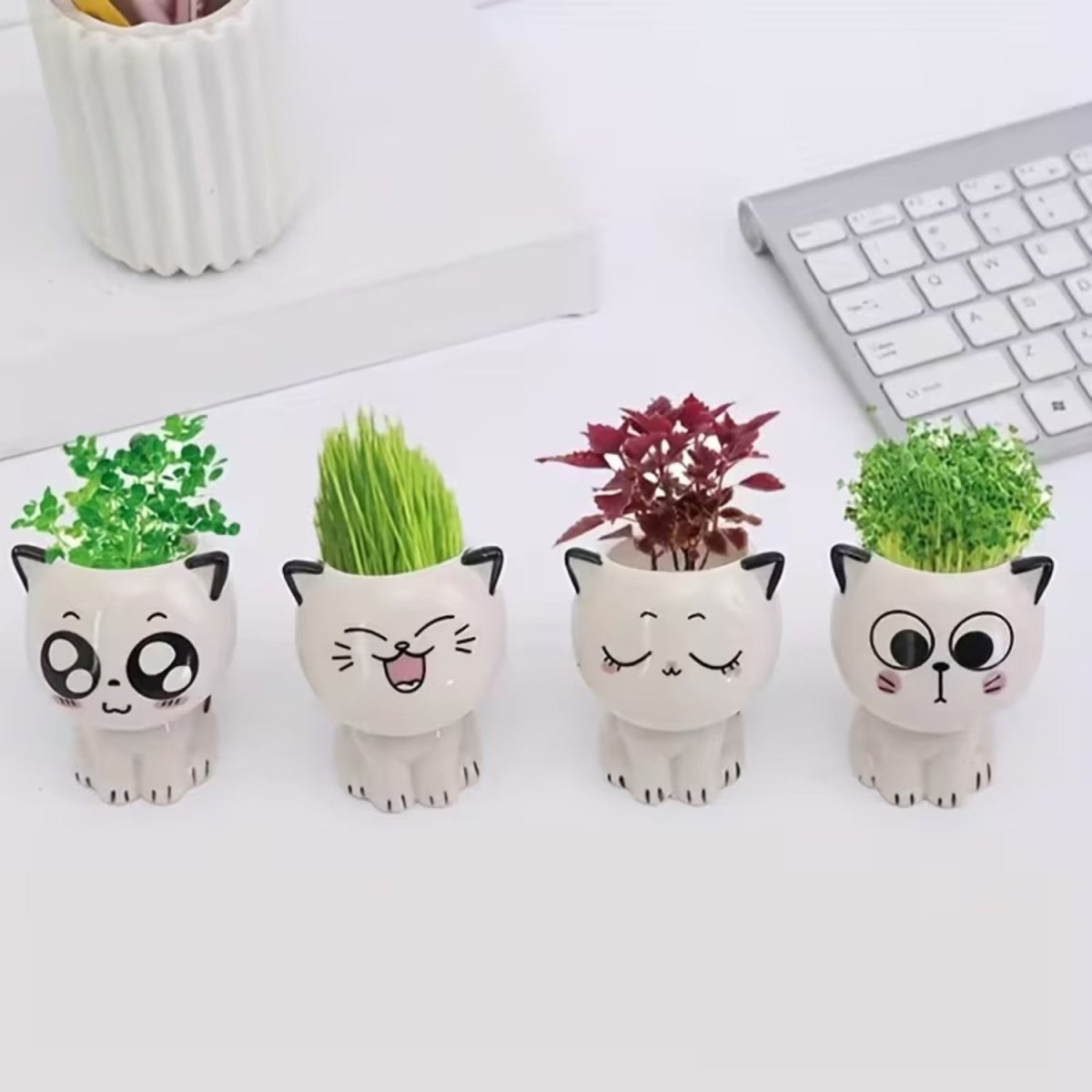 Mini Cat Ceramic Flowerpot for Small Plants - Flowerpot - Wild Eye Vision