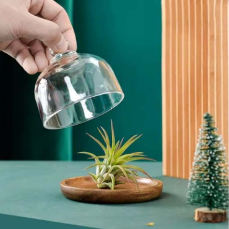 NatureNest Wooden Food Container - Food Container - Wild Eye Vision