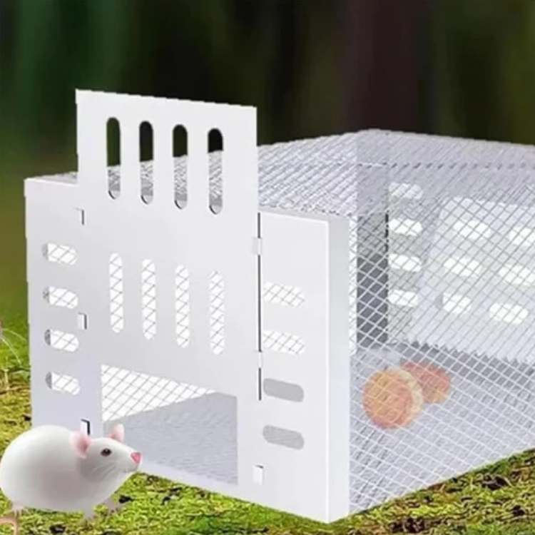 NoEscape Stainless Mouse Trap - Mouse Trap - Wild Eye Vision