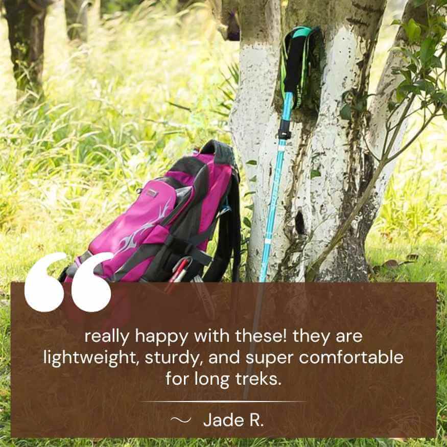 ProTrek Ergonomic Trekking Poles - Trekking Poles - Wild Eye Vision