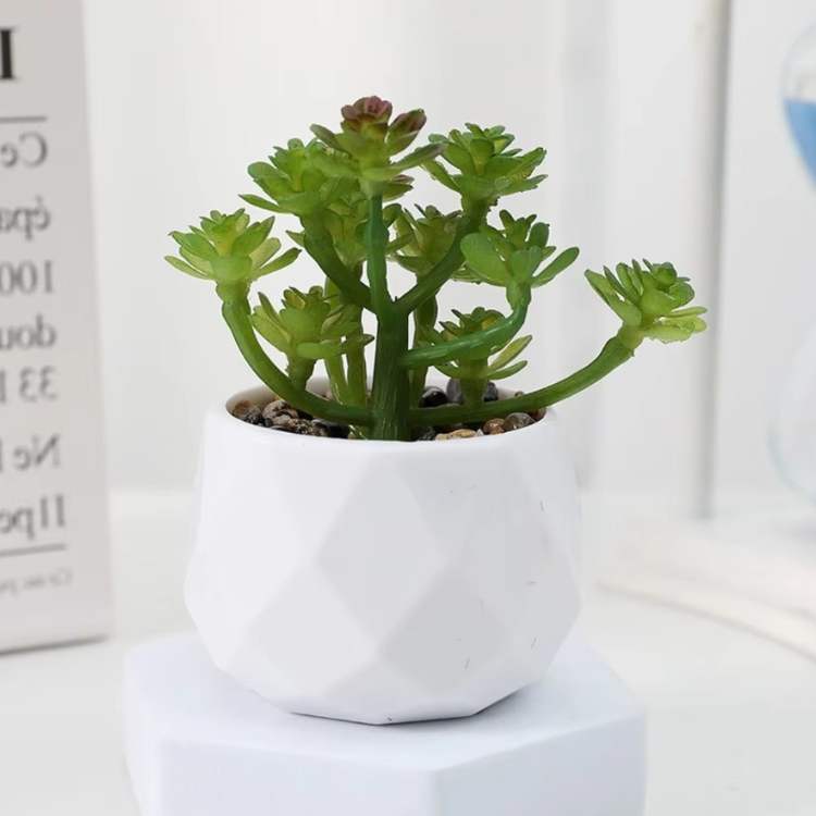 PureLeaf Mini Bonsai Decor - Artificial Plant - Wild Eye Vision