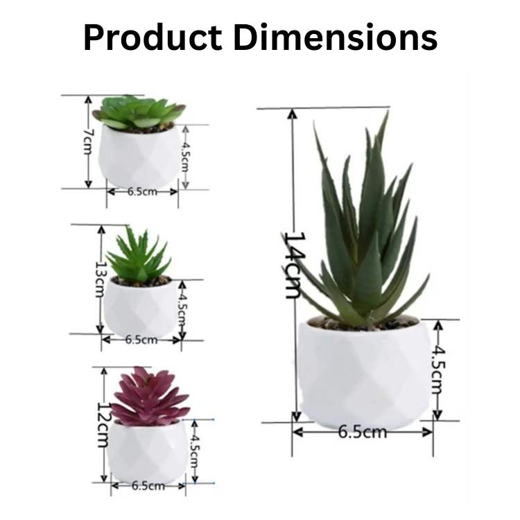 PureLeaf Mini Bonsai Decor - Artificial Plant - Wild Eye Vision