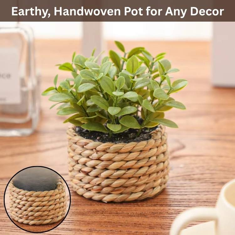 PureLeaf Mini Eucalyptus Plant - Artificial Plant - Wild Eye Vision