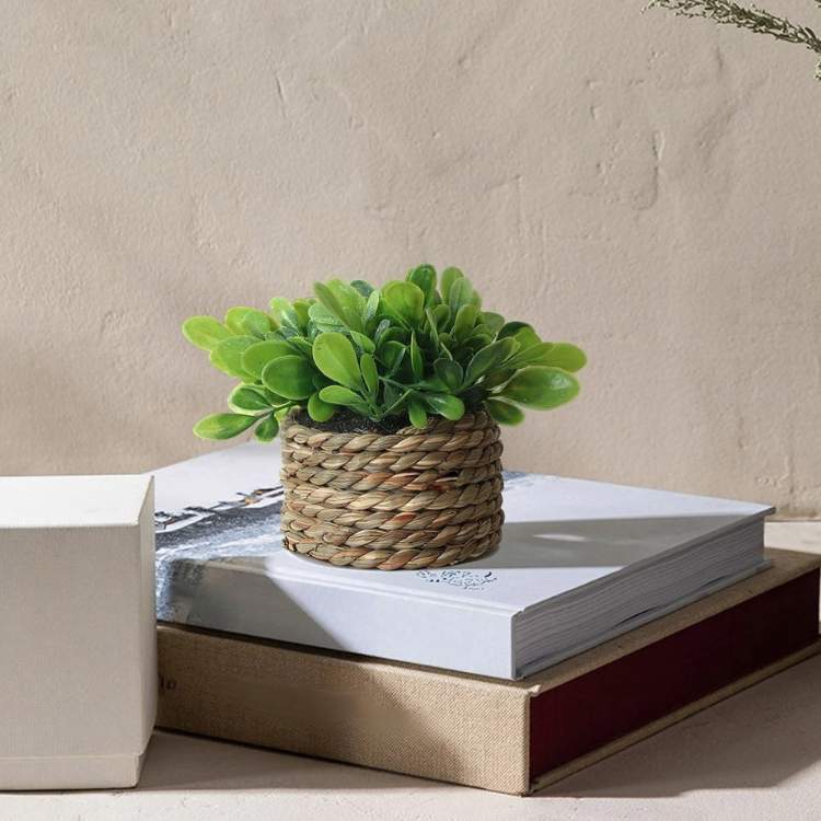 PureLeaf Mini Eucalyptus Plant - Artificial Plant - Wild Eye Vision