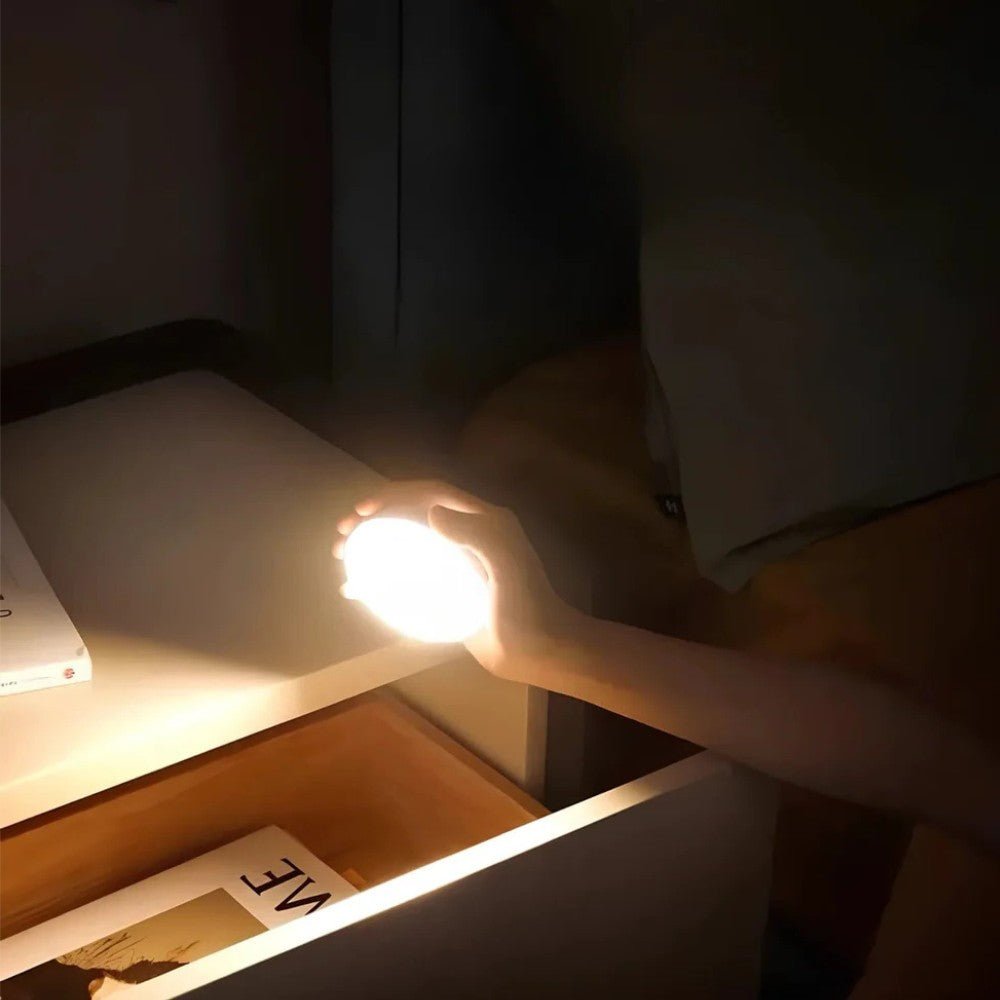 Rechargeable Motion Sensor Light - Motion Sensor Light - Wild Eye Vision