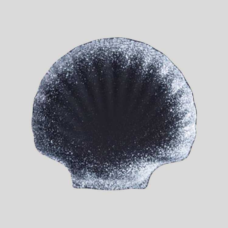 SeasideAura Shell Plates - Plates - Wild Eye Vision
