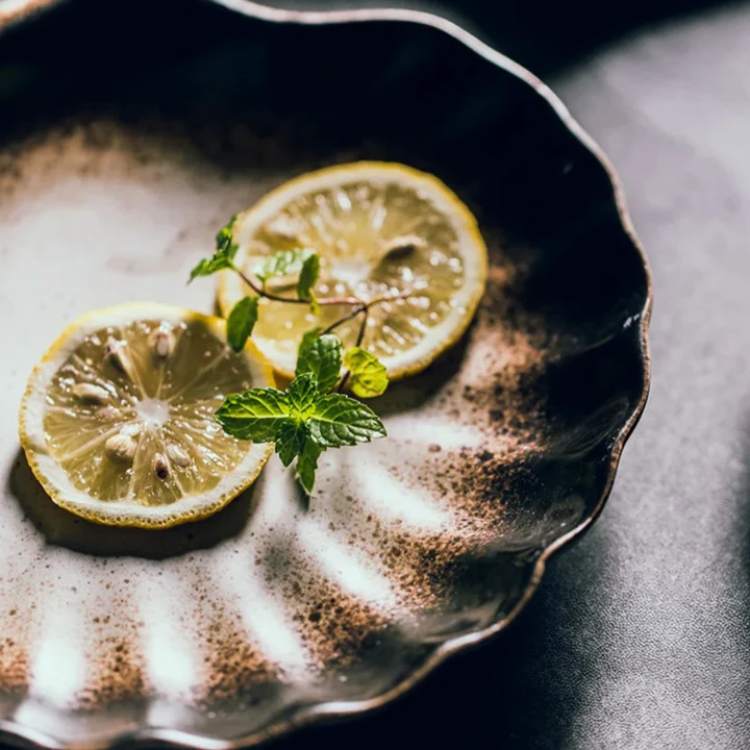 SeasideAura Shell Plates - Plates - Wild Eye Vision