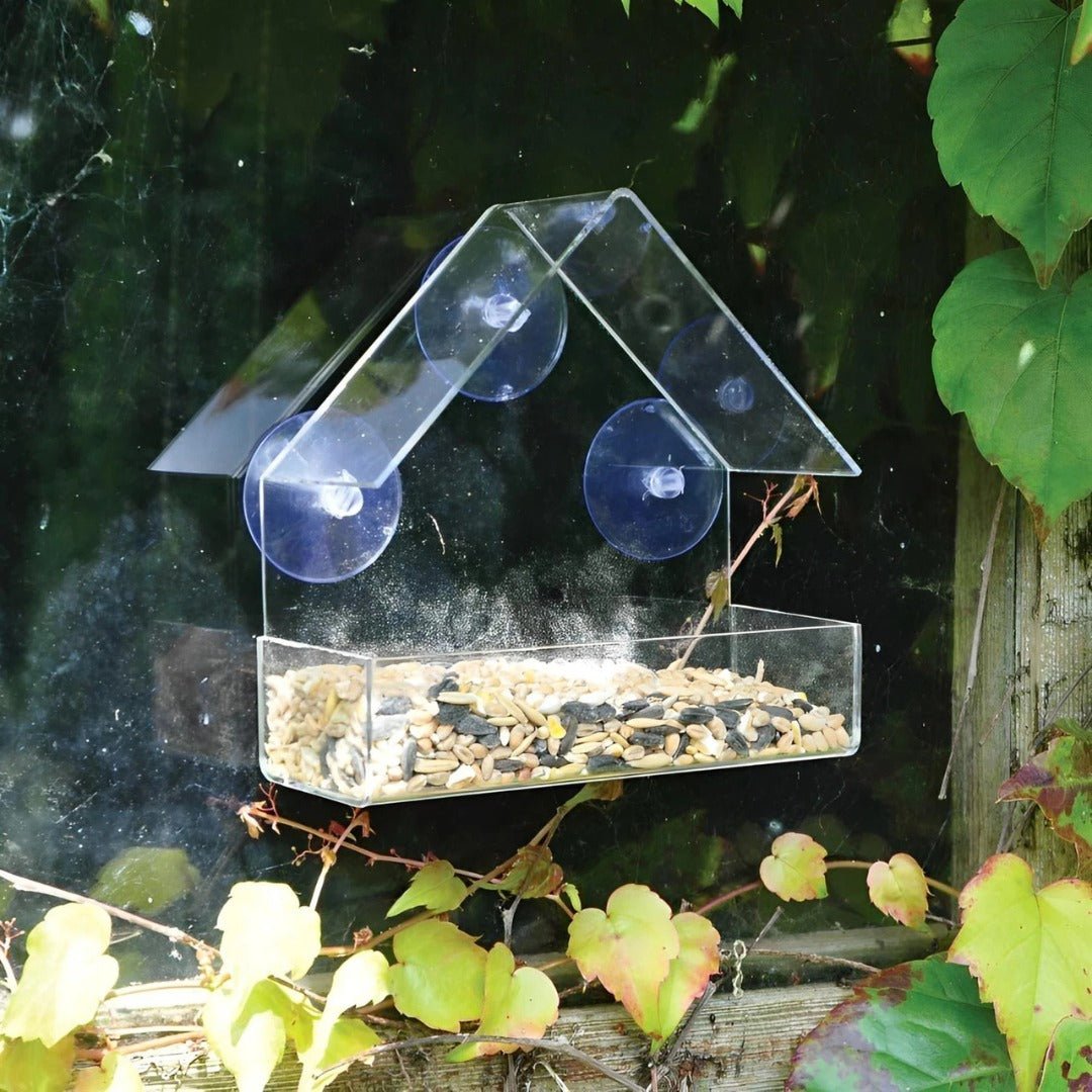 SkyPerch – Clear Window Bird Feeder with Suction Mount - Bird Feeder - Wild Eye Vision