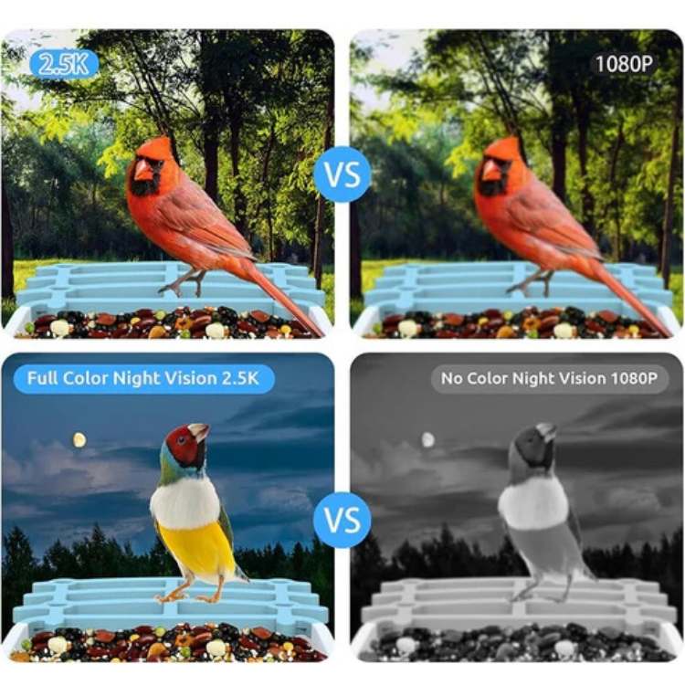 Smart Solar Camera Bird Feeder - Bird Feeder - Wild Eye Vision