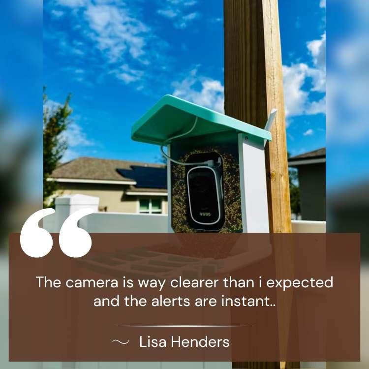Smart Solar Camera Bird Feeder - Bird Feeder - Wild Eye Vision