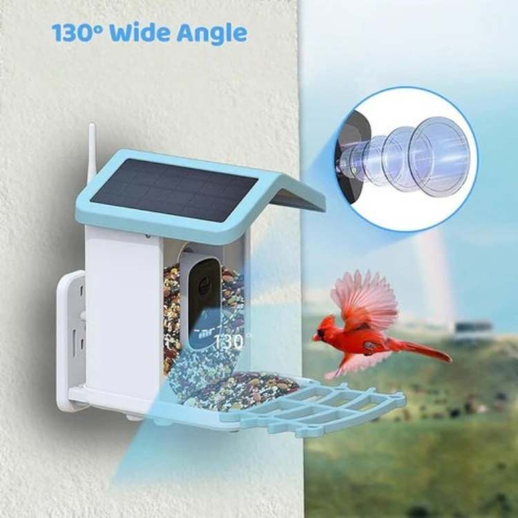 Smart Solar Camera Bird Feeder - Bird Feeder - Wild Eye Vision