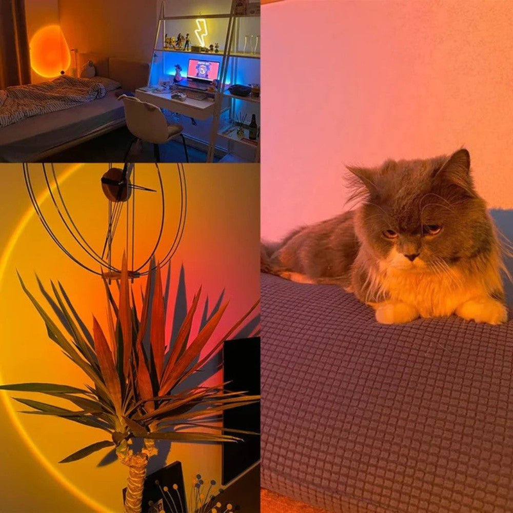 Sunset Glow LED Projector Lamp - Sunset Lamp - Wild Eye Vision