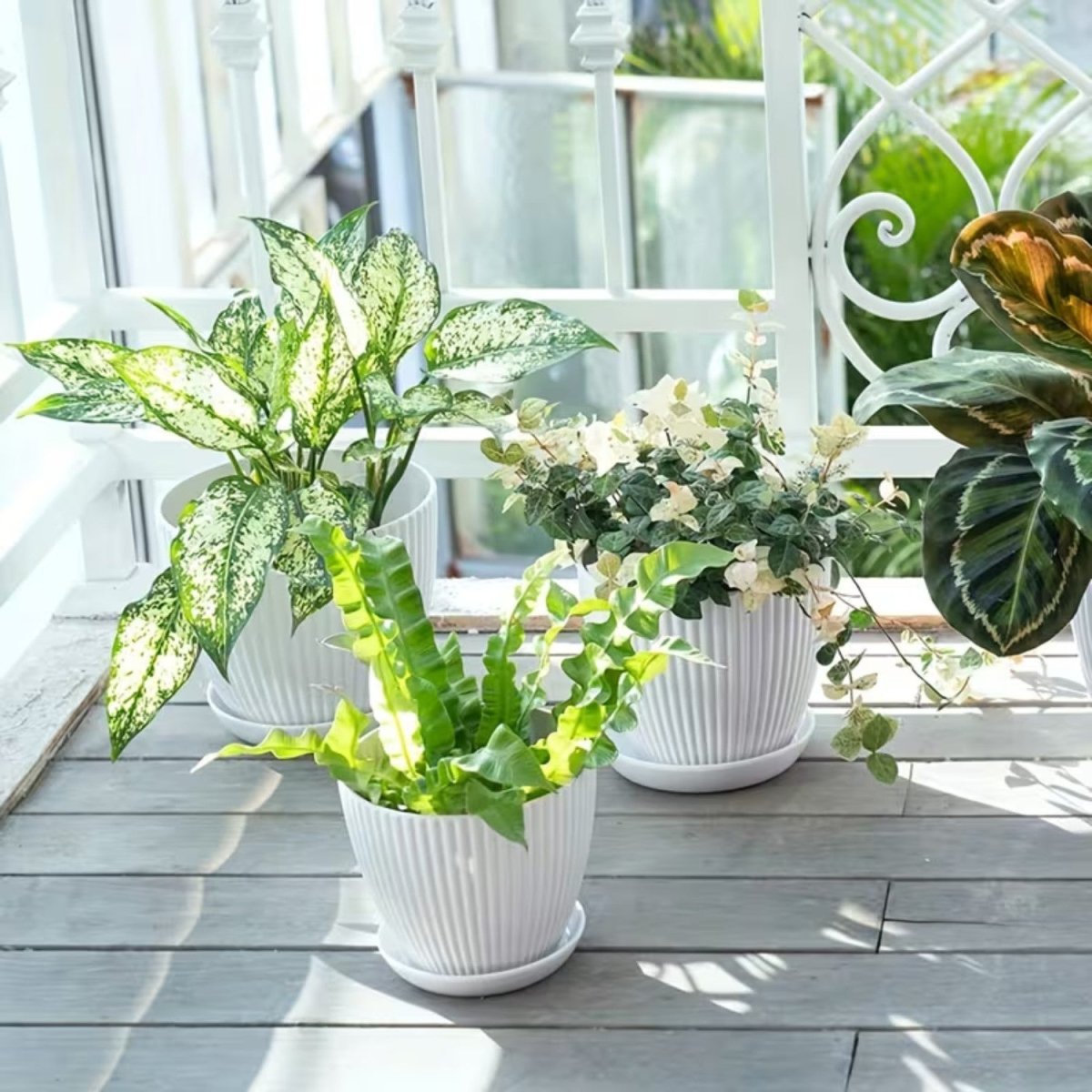 Vertical Striped Flower Pot with Saucer - Flowerpot - Wild Eye Vision