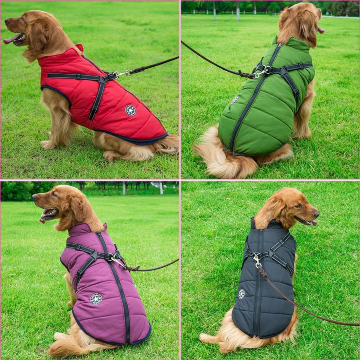 Wind & Water - Resistant Dog Jacket - Dog Jacket - Wild Eye Vision