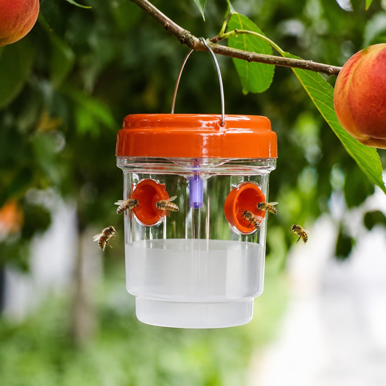 Reusable Hanging Wasp Trap