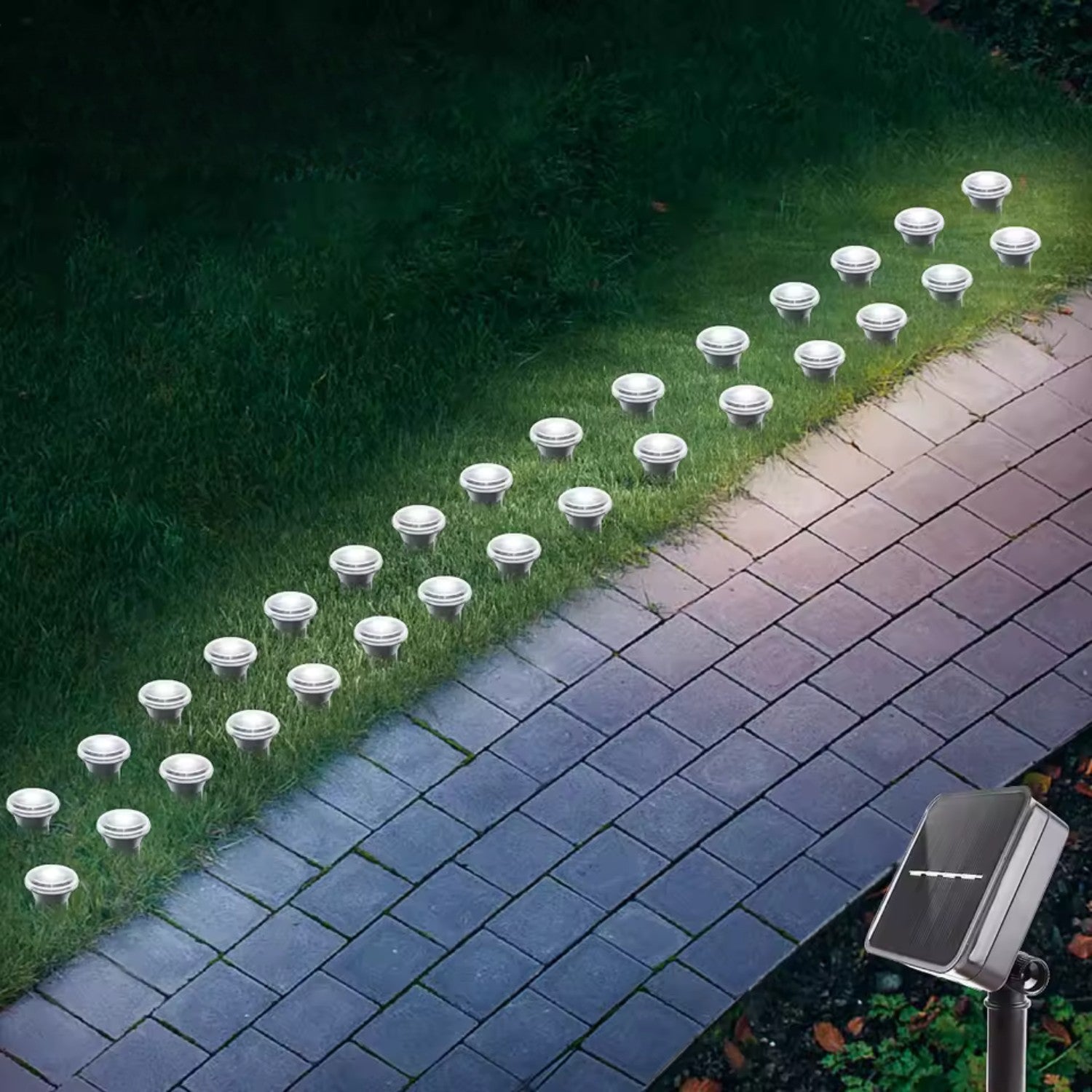 Solar LED Pathway Garden Lights