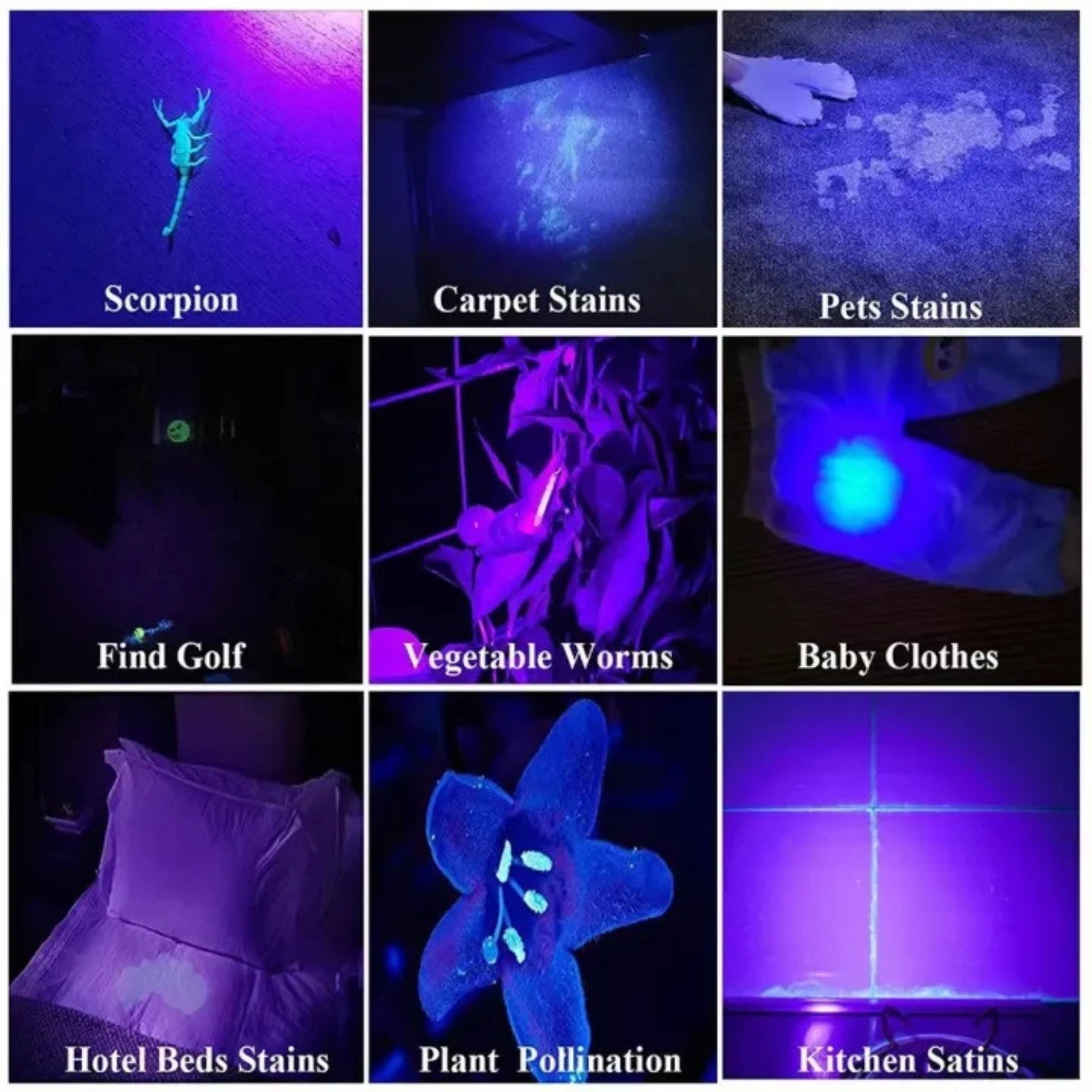 Portable UV Blacklight Flashlight
