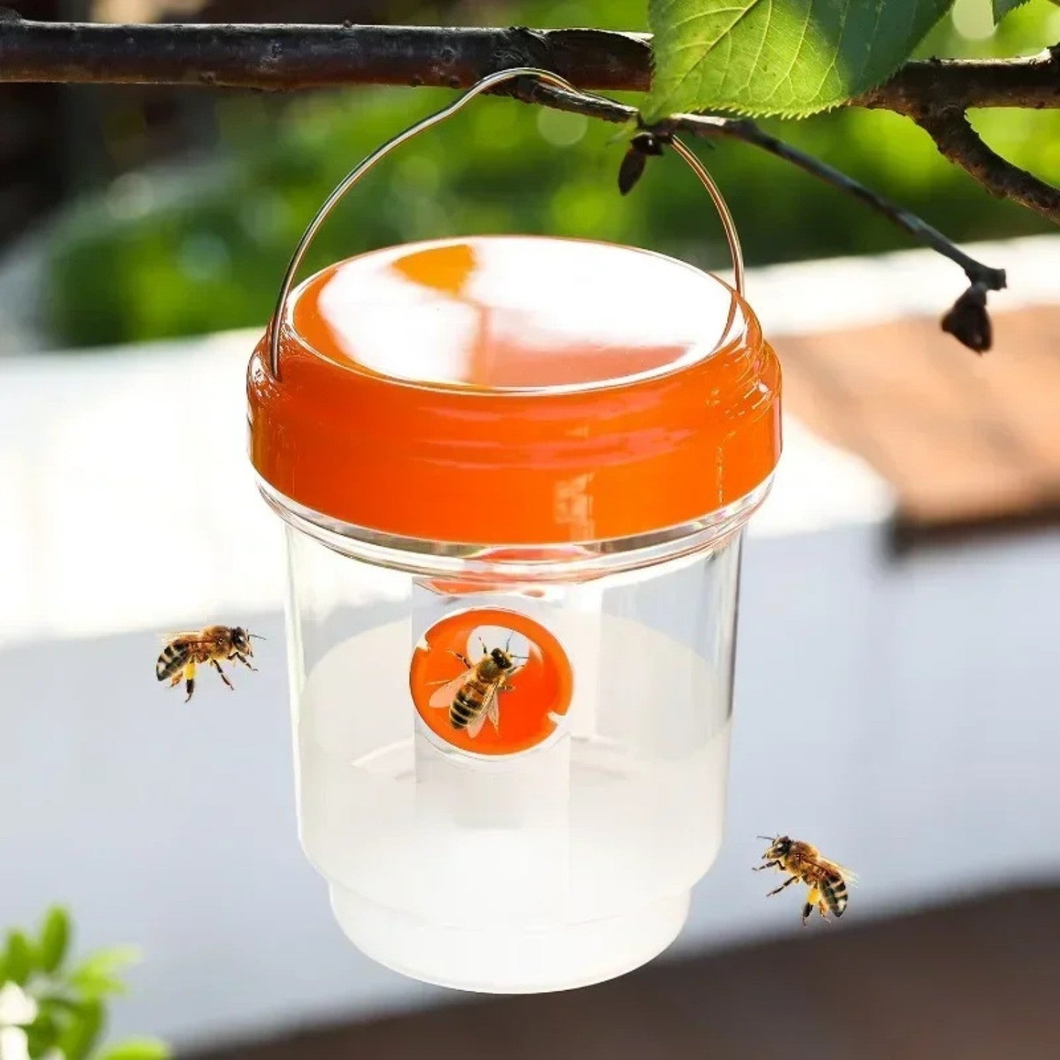 Reusable Hanging Wasp Trap
