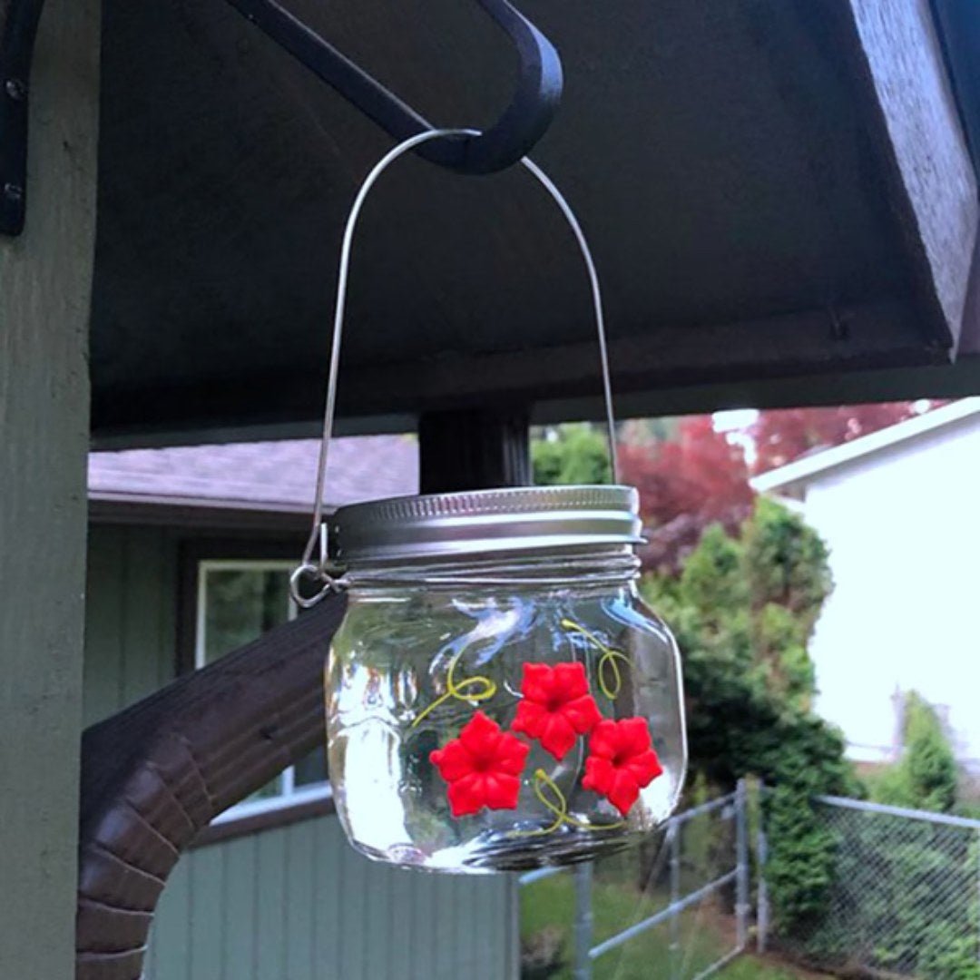 ClearBloom – Hanging Hummingbird Feeder with 3 Flower Ports - Bird Feeder - Wild Eye Vision