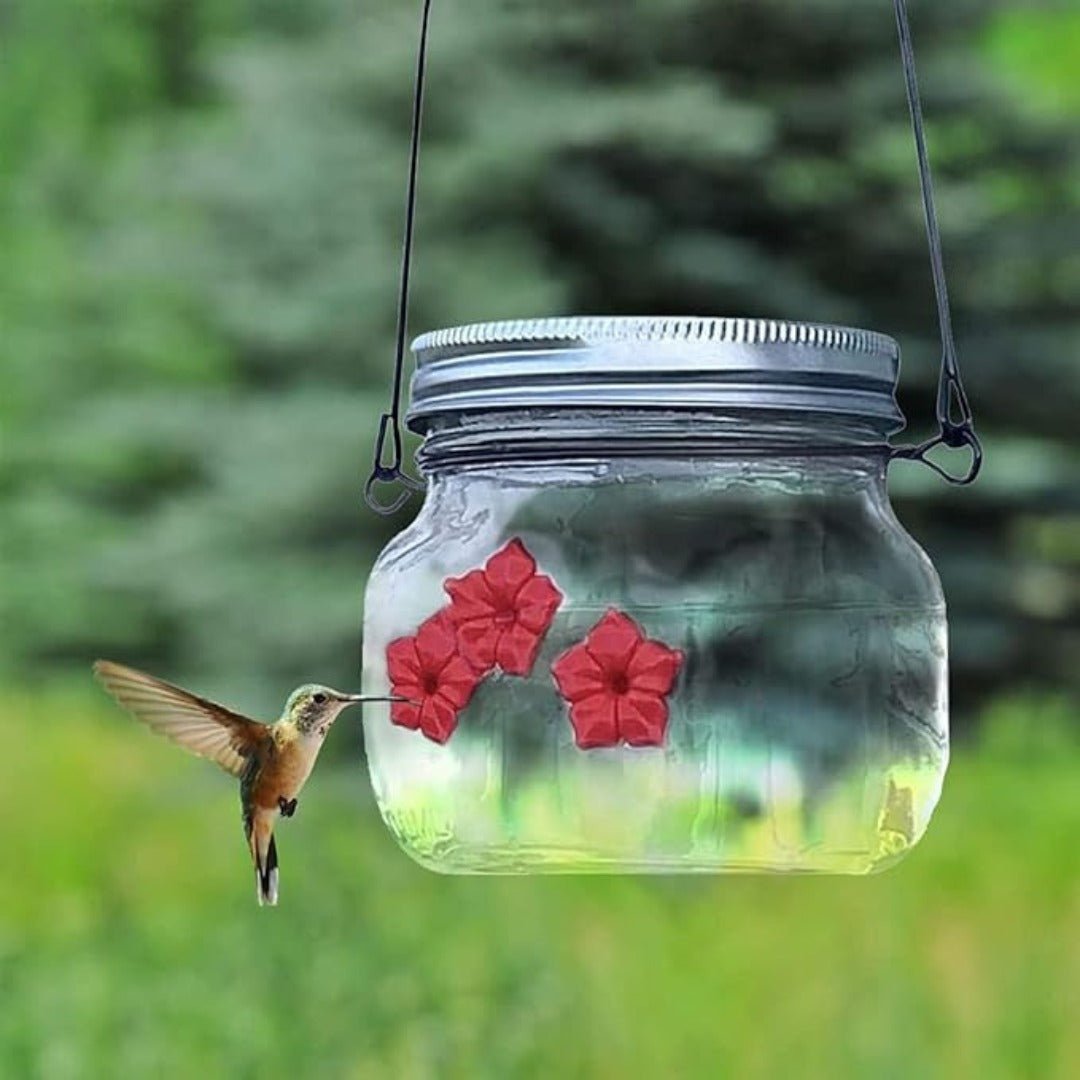 ClearBloom – Hanging Hummingbird Feeder with 3 Flower Ports - Bird Feeder - Wild Eye Vision