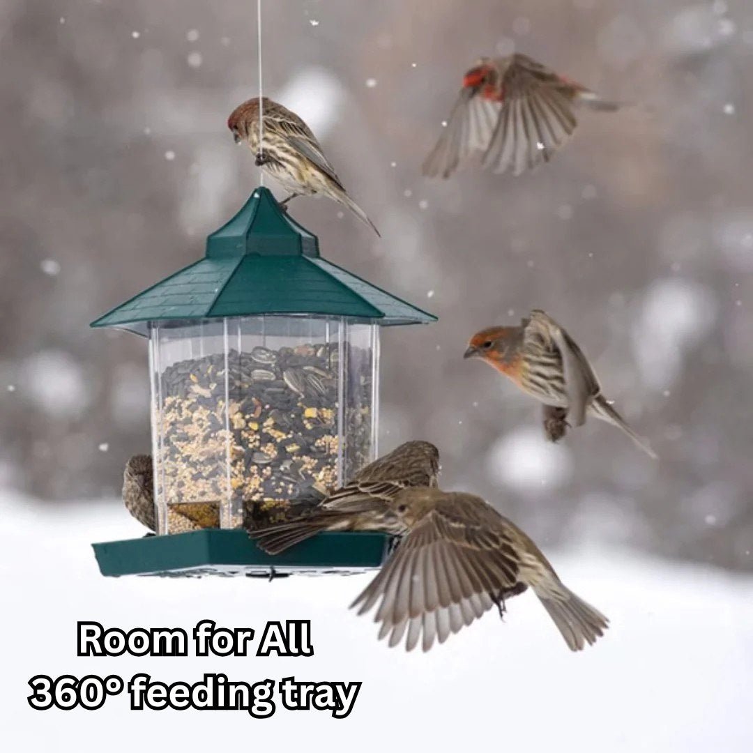 EcoFeast – Hexagonal Pavilion Hanging Bird Feeder with Drainage - Bird Feeder - Wild Eye Vision