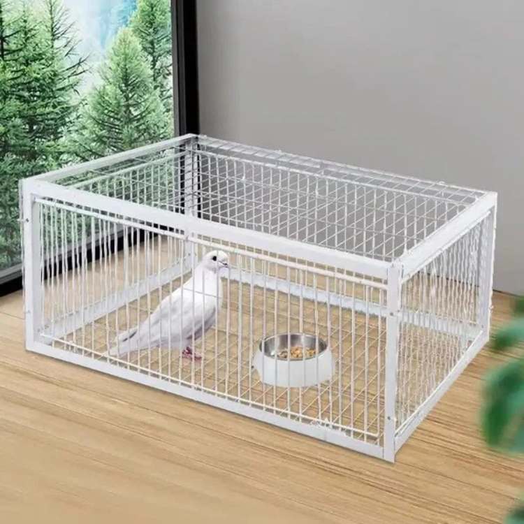 FeatherGuard Bird Cage - Bird Cage - Wild Eye Vision