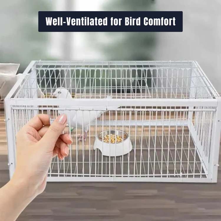 FeatherGuard Bird Cage - Bird Cage - Wild Eye Vision