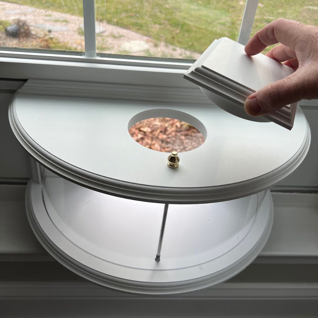 FeatherView – 180° Clear Window Bird Feeder - Bird Feeder - Wild Eye Vision