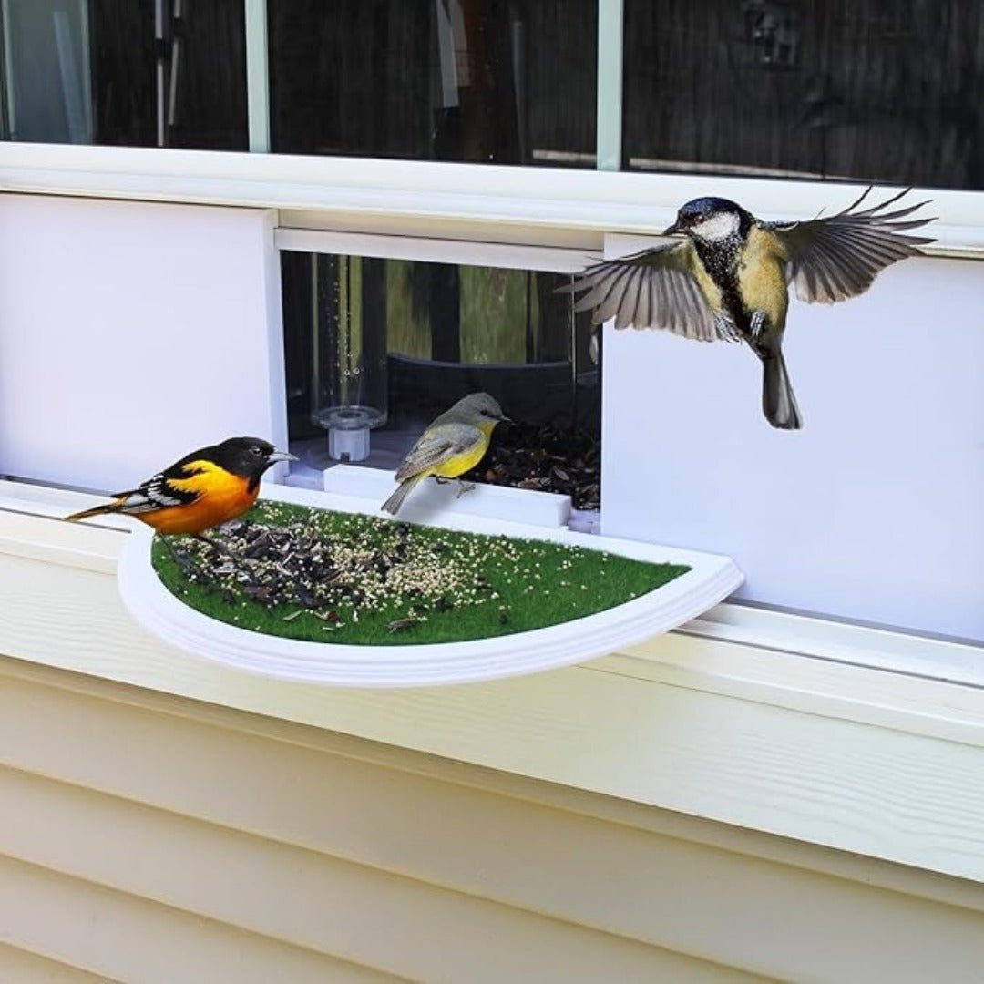 FeatherView – 180° Clear Window Bird Feeder - Bird Feeder - Wild Eye Vision