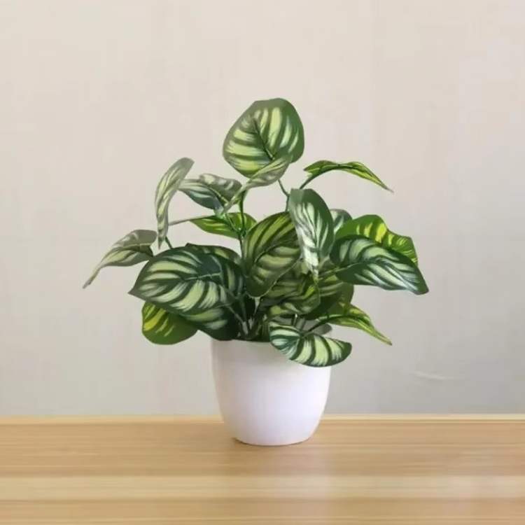 ForeverFresh Decorative Bonsai Pot - Artificial Plant - Wild Eye Vision