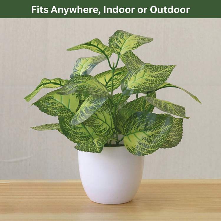 ForeverFresh Decorative Bonsai Pot - Artificial Plant - Wild Eye Vision