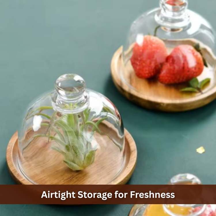 NatureNest Wooden Food Container - Food Container - Wild Eye Vision