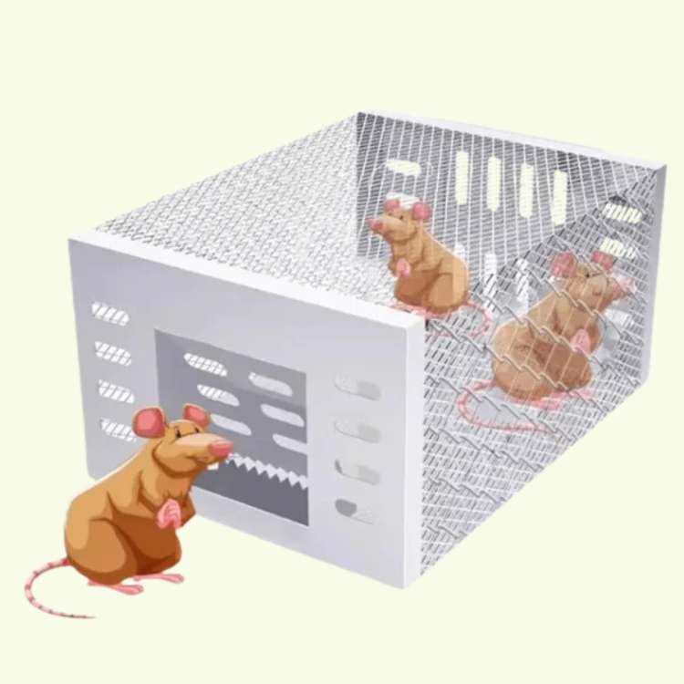 NoEscape Stainless Mouse Trap - Mouse Trap - Wild Eye Vision