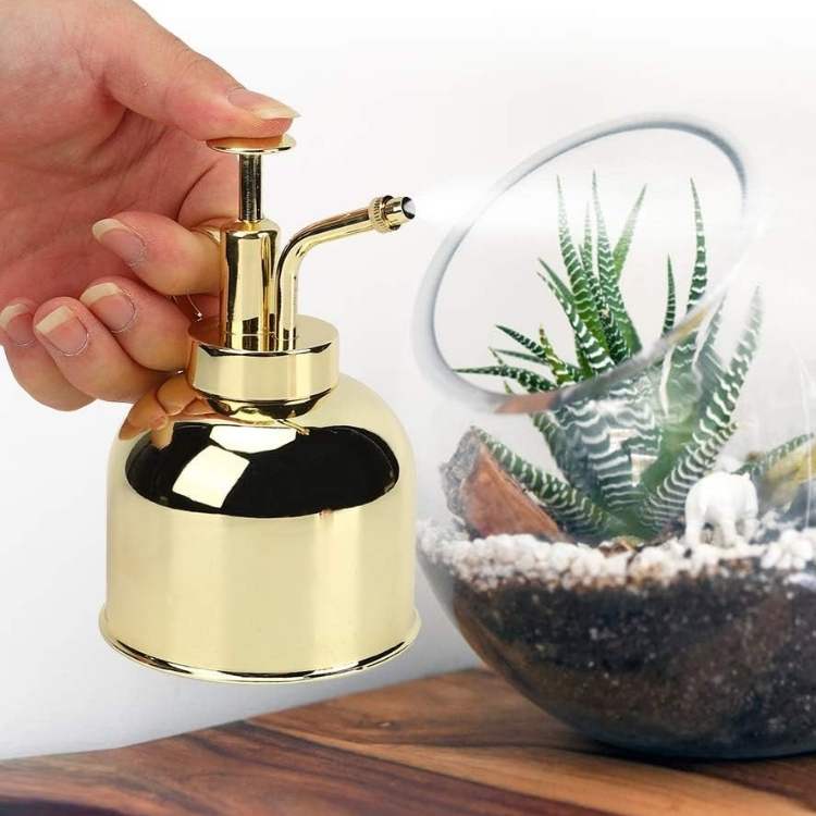 Premium Indoor Mister for Plants - Plant Mister - Wild Eye Vision