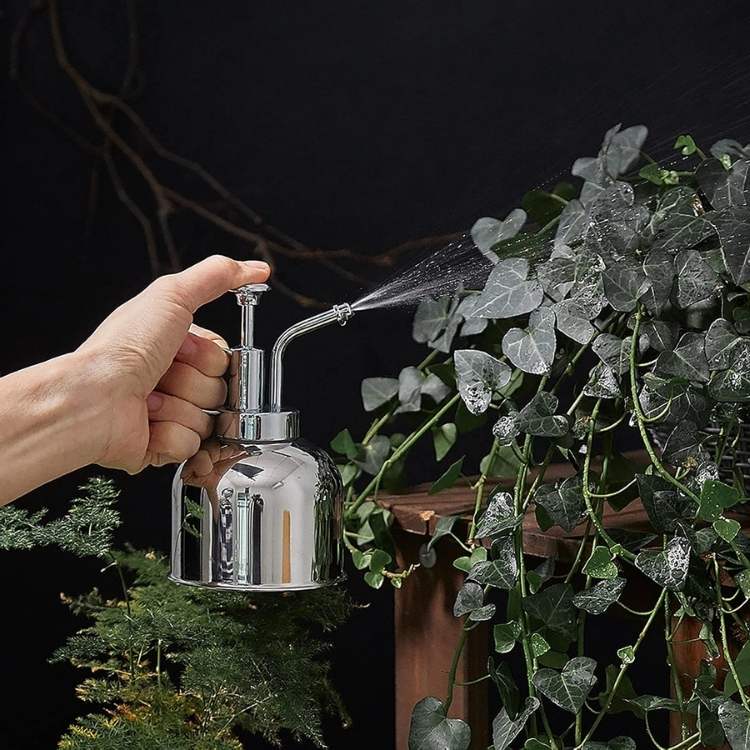 Premium Indoor Mister for Plants - Plant Mister - Wild Eye Vision