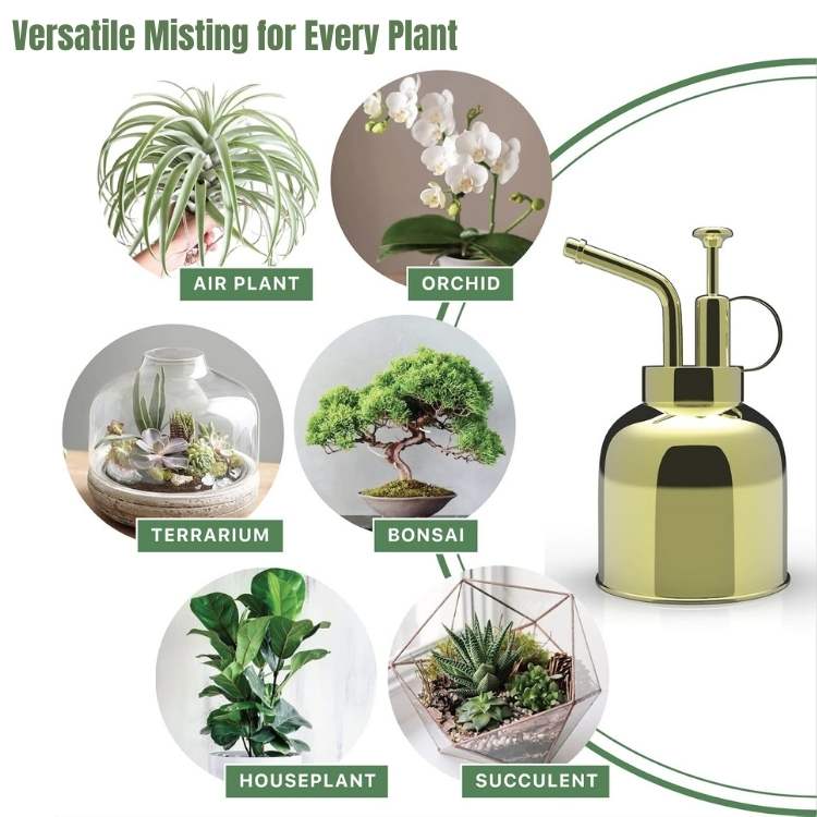 Premium Indoor Mister for Plants - Plant Mister - Wild Eye Vision
